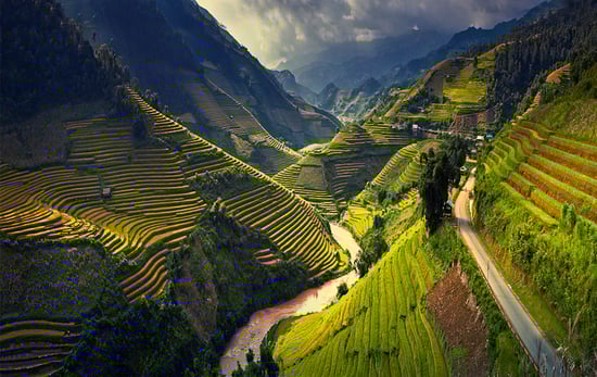vietnam